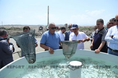 Partiya sədrləri Həkəri çayına balıq buraxıblar