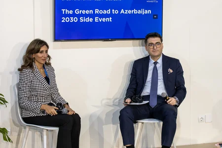 Nazir müavini: “Azərbaycanın “yaşıl təşəbbüs”ləri enerji keçidinə yönəlib”