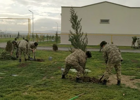 Azərbaycan Ordusunda ağacəkmə aksiyası davam edir