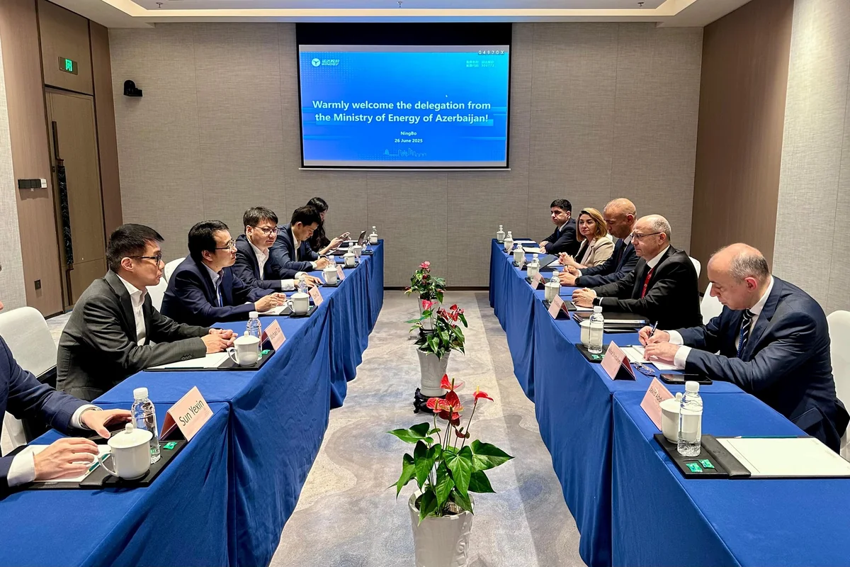Azerbaijan discusses wind energy projects with Chinese company