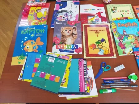 Bakıda atası ilə birlikdə zibil yığan 10 yaşlı qız fərdi təhsilə cəlb olunub