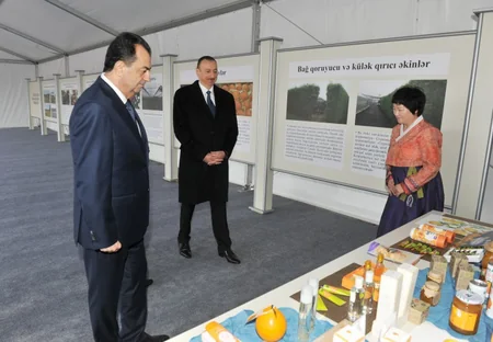 Azərbaycan prezidenti ​Lənkəranda bir sıra obyektlərdə yaradılan şəraitlə tanış olub - YENİLƏNİB