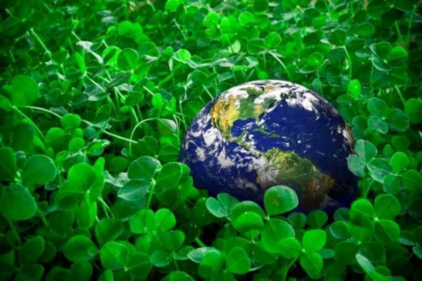 Bu il ətraf mühitin mühafizəsi tələblərini pozan 526 şəxs inzibati məsuliyyətə cəlb edilib