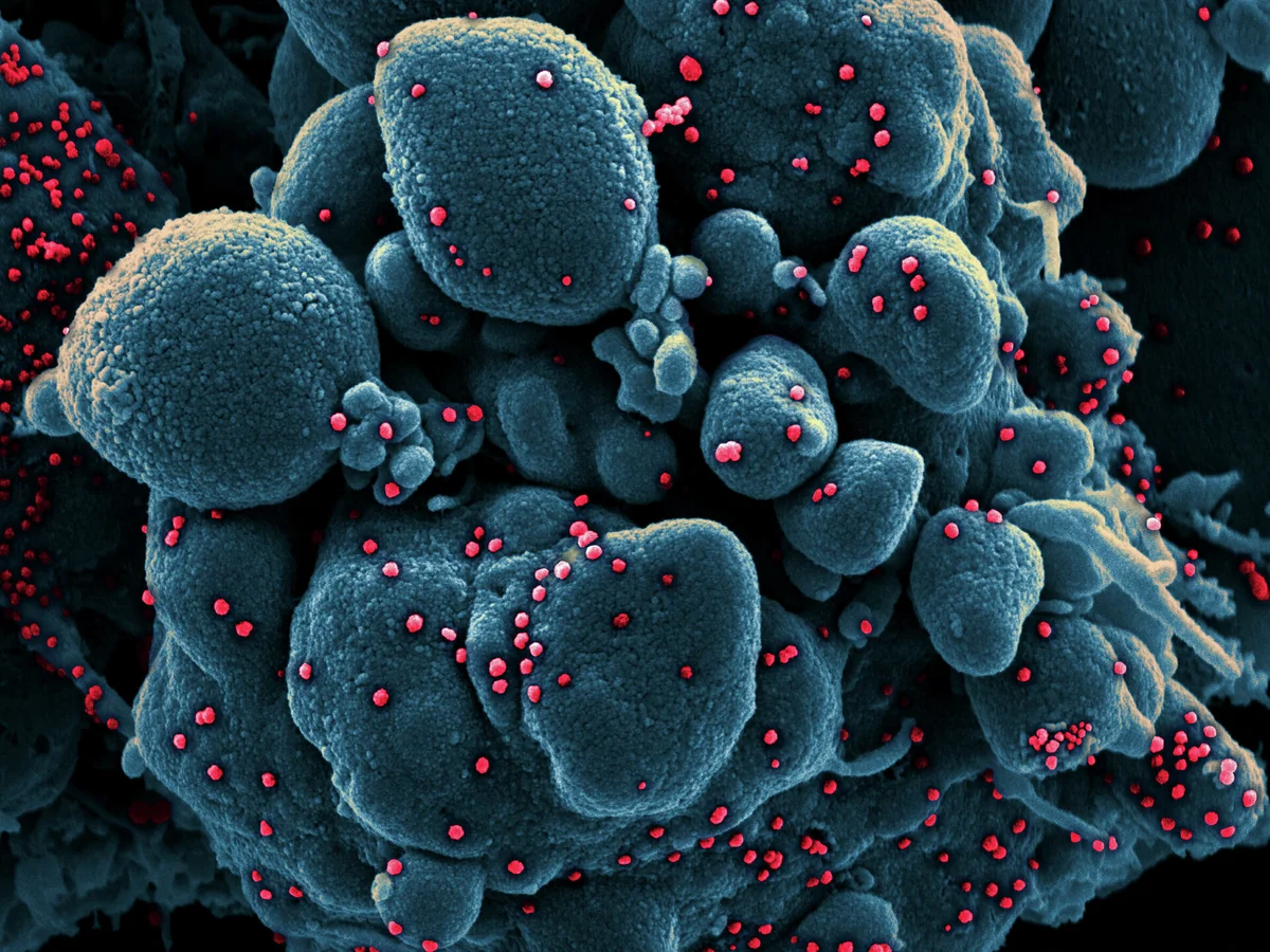 China creating vaccine effective against various COVID mutations