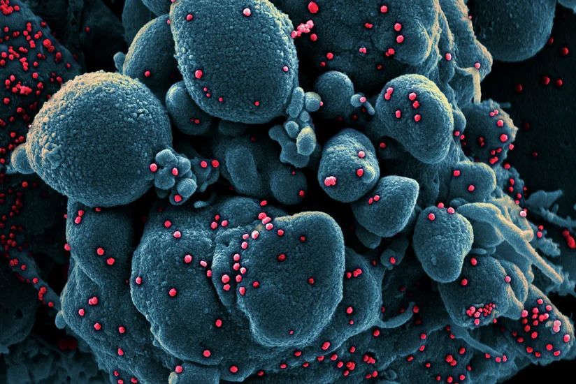 China creating vaccine effective against various COVID mutations