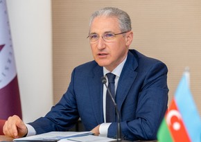 COP29 Prezidenti: Azərbaycan enerji mənbələrinin şaxələndirilməsi vasitəsilə “yaşıl gələcəy”ə istiqamət götürüb