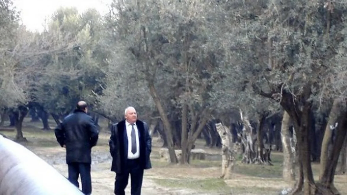 Akif Çovdarovun cinayət işində zərərçəkmiş şəxsin məhkəməsi davam edir: Gülağa Tənha pul verəndə orada idim - ƏLAVƏ OLUNUB