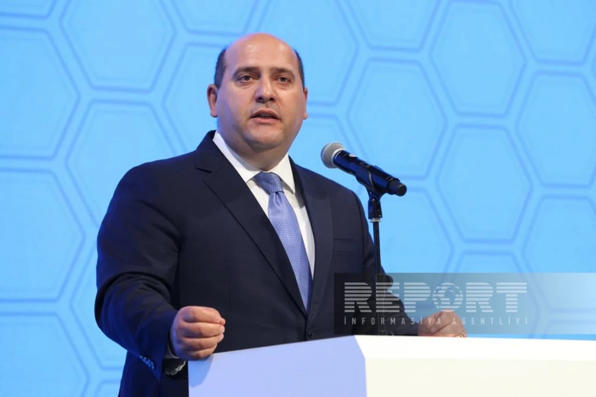 Prezidentin xüsusi nümayəndəsi Qarabağ və Şərqi Zəngəzurda hansı sahələrdə kadrlara ehtiyac olduğunu açıqlayıb