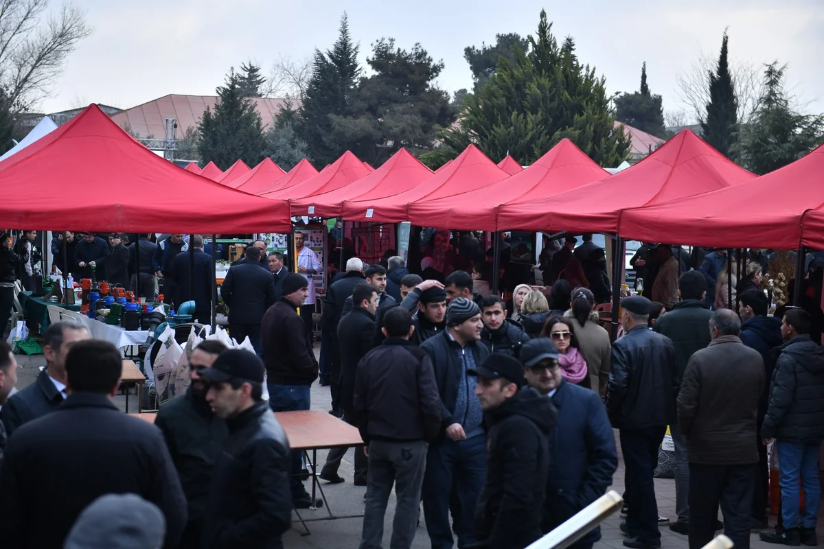 Salyanda Aqrar Biznes Festivalı keçirilib