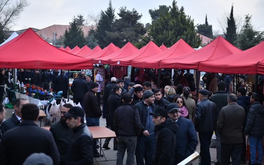 Salyanda Aqrar Biznes Festivalı keçirilib