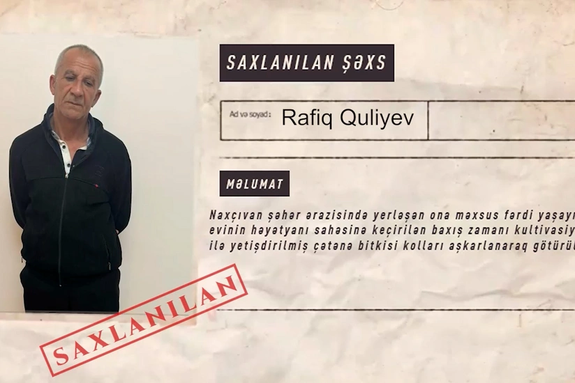 Naxçıvanda narkotik tərkibli bitkilərin kultivasiyası ilə məşğul olan şəxs saxlanılıb