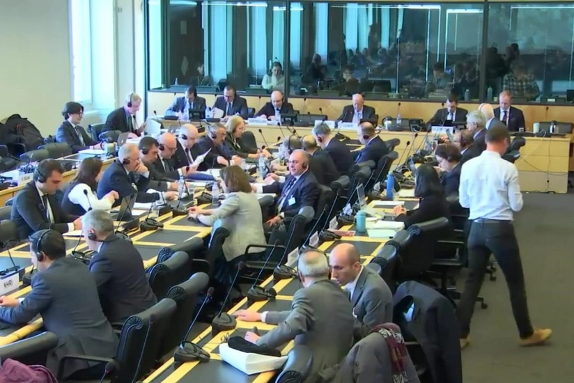 В Женеве обсудили отчет омбудсмена Азербайджана