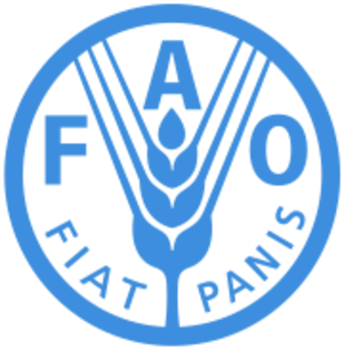 FAO supports sustainable forest management in Azerbaijan