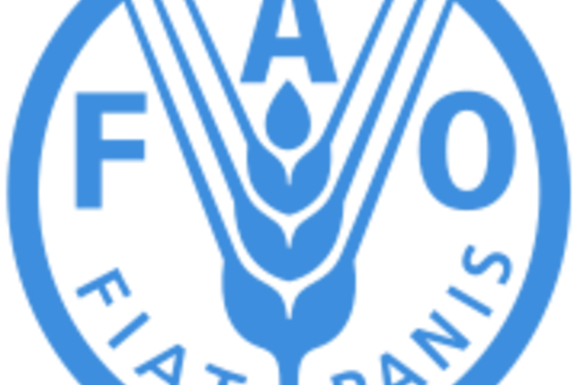 FAO supports sustainable forest management in Azerbaijan