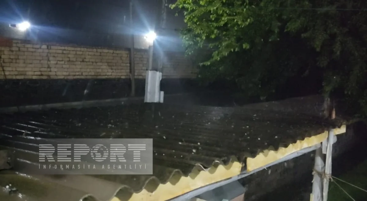 Qaxda dolu təsərrüfata ciddi ziyan vurub