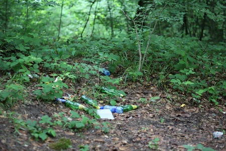 Şabranda gölün ətrafını çirkləndirənlər 700 manatdan 8500 manatadək cərimə ediləcək