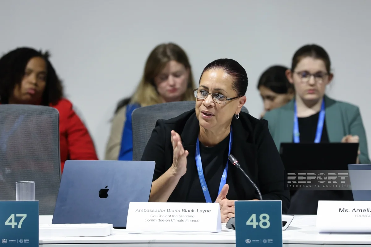 Co-chair: SCF's financial resources surge by 60%