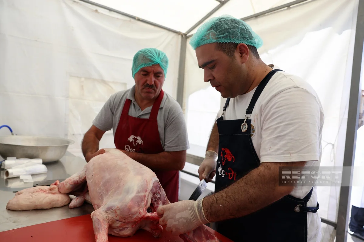 32 ildən sonra ilk dəfə Şuşaya köçürülmüş sakinlər üçün qurbanlar kəsilib