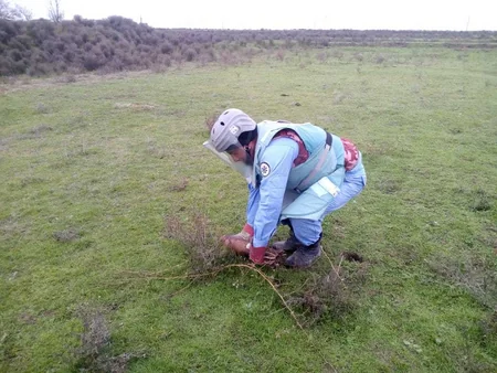 Ağcabədidə minaatan mərmisi tapılıb