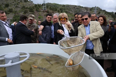 Xarici diplomatlar və hərbi attaşelər Laçında Həkəri çayına balıq körpələri buraxıblar - YENİLƏNİB-2