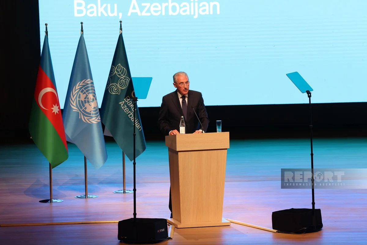 COP29 president: COP29 Declaration to be released in coming days