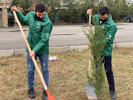 Kürdəmirdə şəhidlərin şərəfinə şam ağacları əkilib