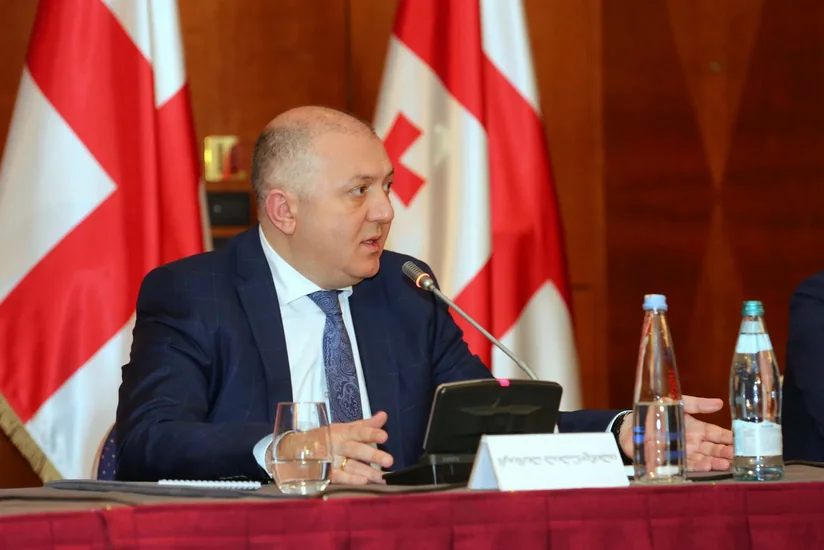 Gürcüstan Dövlət Təhlükəsizlik Xidməti: Müxalifət qırmızı xətləri keçməməlidir