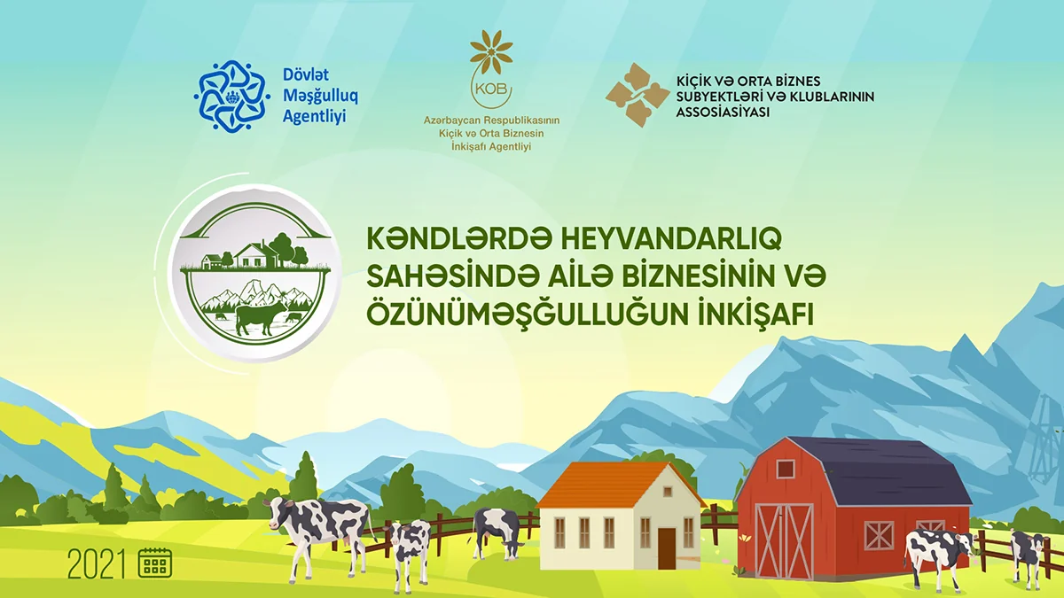 Azərbaycanın 12 rayonunda vətəndaşlara cins heyvanlar veriləcək