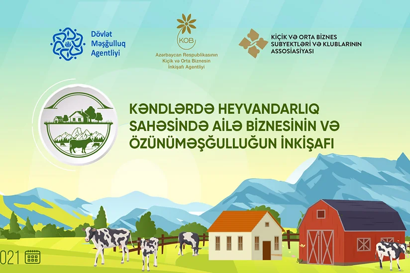 Azərbaycanın 12 rayonunda vətəndaşlara cins heyvanlar veriləcək