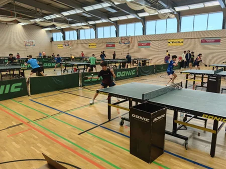 Azərbaycanın stolüstü tennisçisi Lüksemburqda beynəlxalq təlim-məşq toplanışına qatılıb