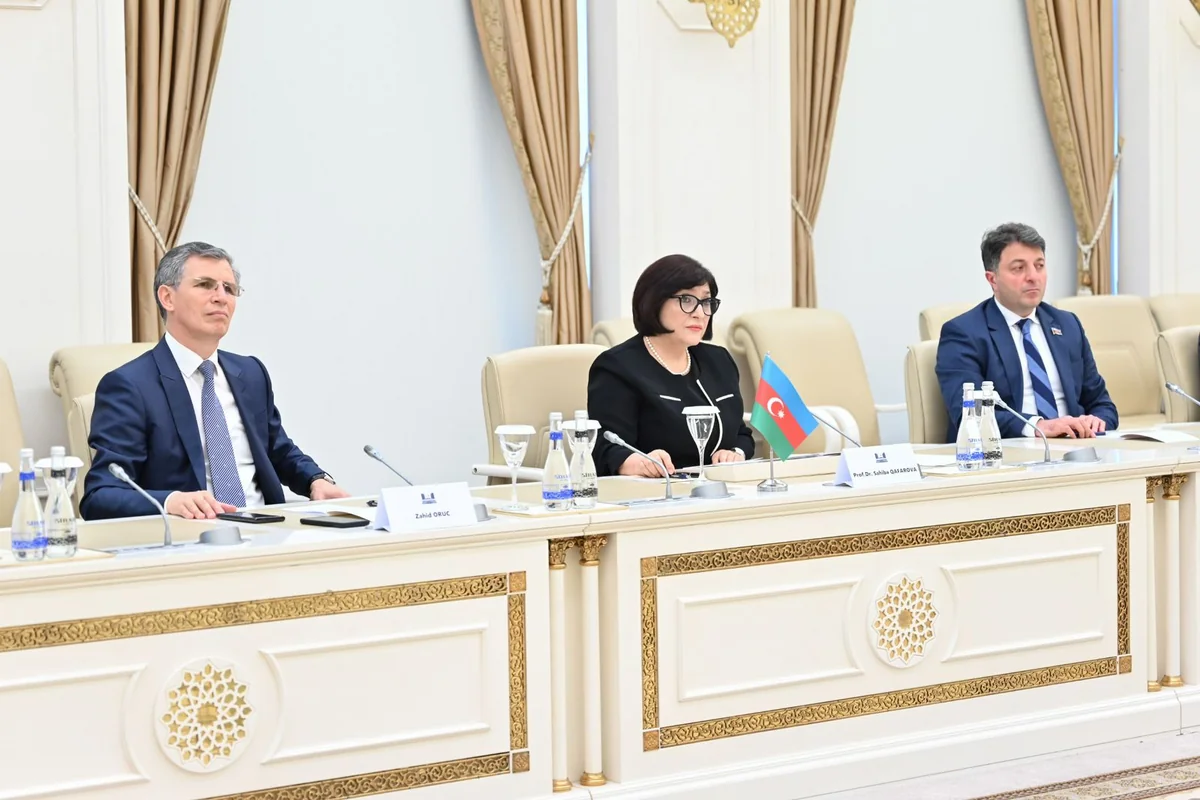 Спикер Милли Меджлиса: Грубое попирание Францией прав народов неприемлемо