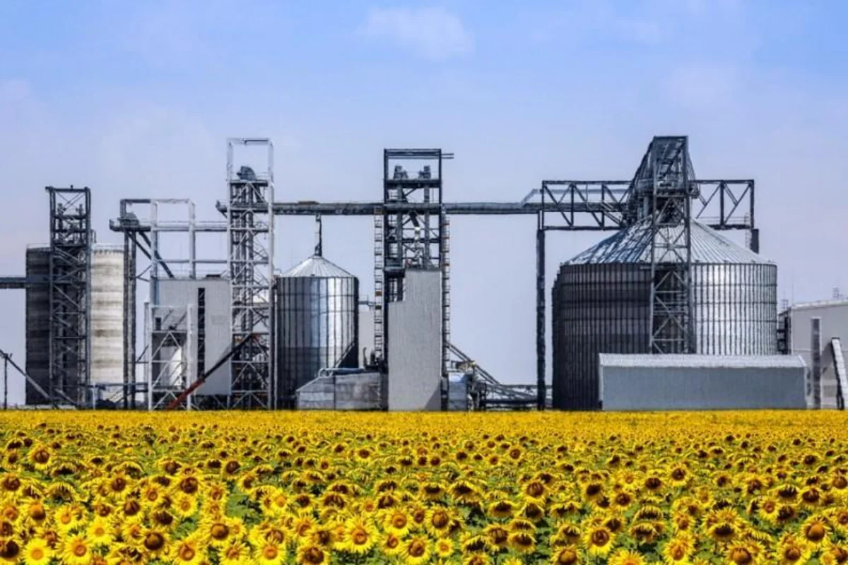Kazakhstan builds $68M oilseed processing plant