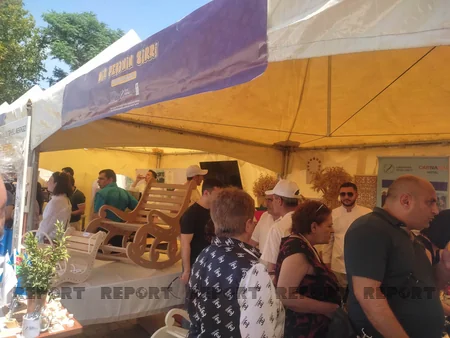 Bakıda “Bir Peşənin Sirri” festivalı keçirilib