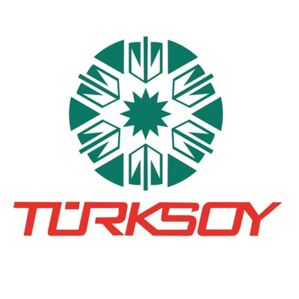 TURKSOY offers to celebrate jointly 25th independence anniversary of Turkic-speaking states