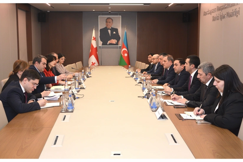 Главы МИД Азербайджана и Грузии обсудили вопросы взаимовыгодного сотрудничества