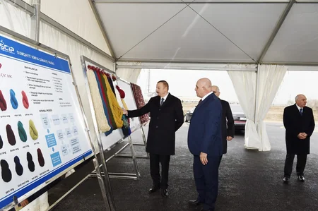 Azərbaycan Prezidenti Sumqayıt Kimya Sənaye Parkında olub