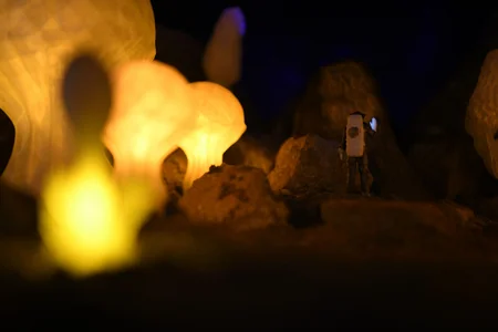 İlkin Zeferli: Qobustan insanla təbiətin harmonik birgəyaşayışının mühüm simvoluna çevrilə bilər