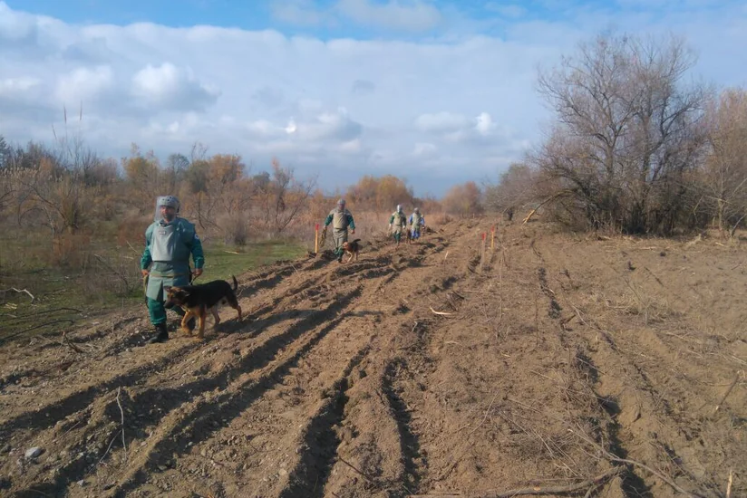 Cocuq Mərcanlıda 5 hektardan çox ərazi tam təmizlənib, mina aşkar edilməyib