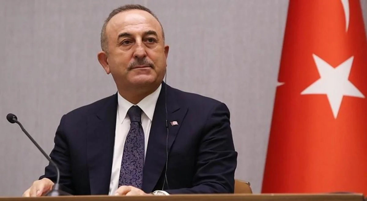 Cavusoglu to participate in OIC meeting