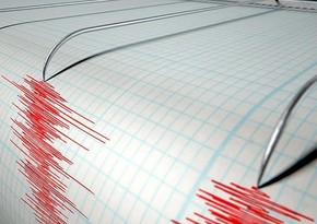 В Афганистане произошло землетрясение магнитудой 5,5