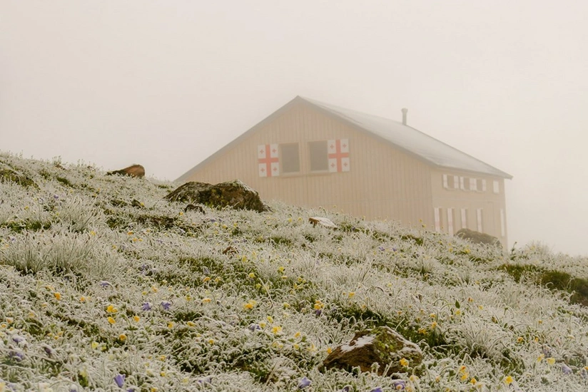 В Грузии выпал снег