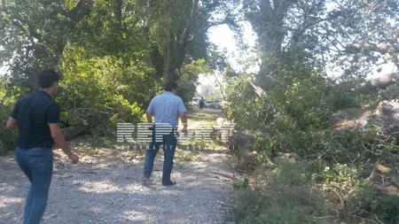 Külək Xaçmazda ağacı avtomobilin üstünə aşırıb, ölən və yaralanan var - YENİLƏNİB