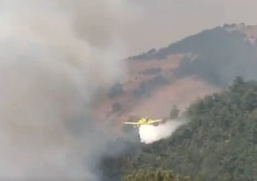 Yanğınlar səbəbindən 3500-dən çox Bursa sakini təxliyə olunub