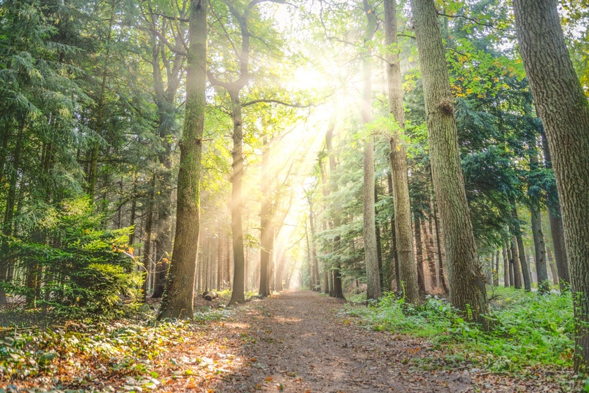 Weather forecast for September 1 announced