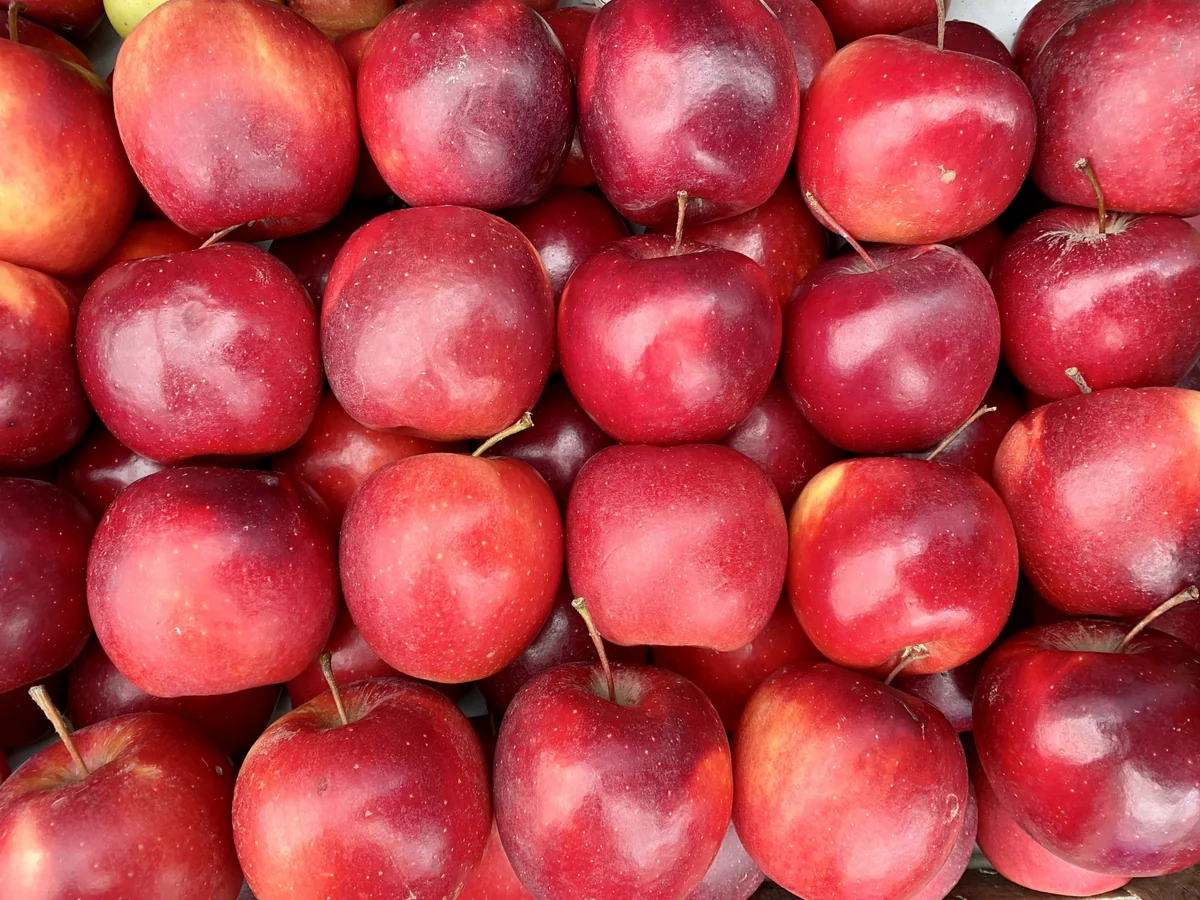 Bakıda “Kənddən Şəhərə” Yeni il yarmarkaları fəaliyyətə başlayıb