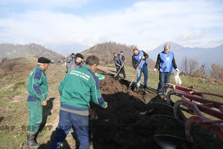 Qəbələnin yanğına məruz qalmış meşə sahəsinə ağac toxumları səpilib