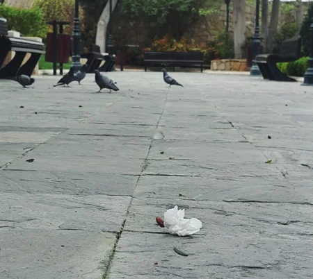 ​“Tullantım azalsın” fotomüsabiqəsinin qalibləri mükafatlandırılıb
