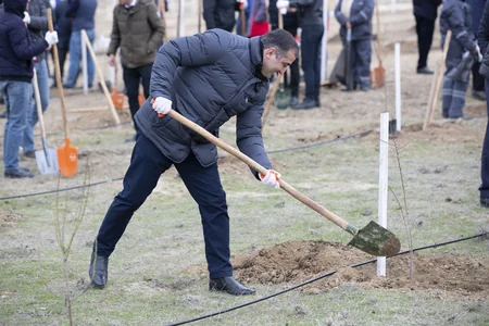 Kənd Təsərrüfatı Nazirliyi ağacəkmə kampaniyasına qatılıb