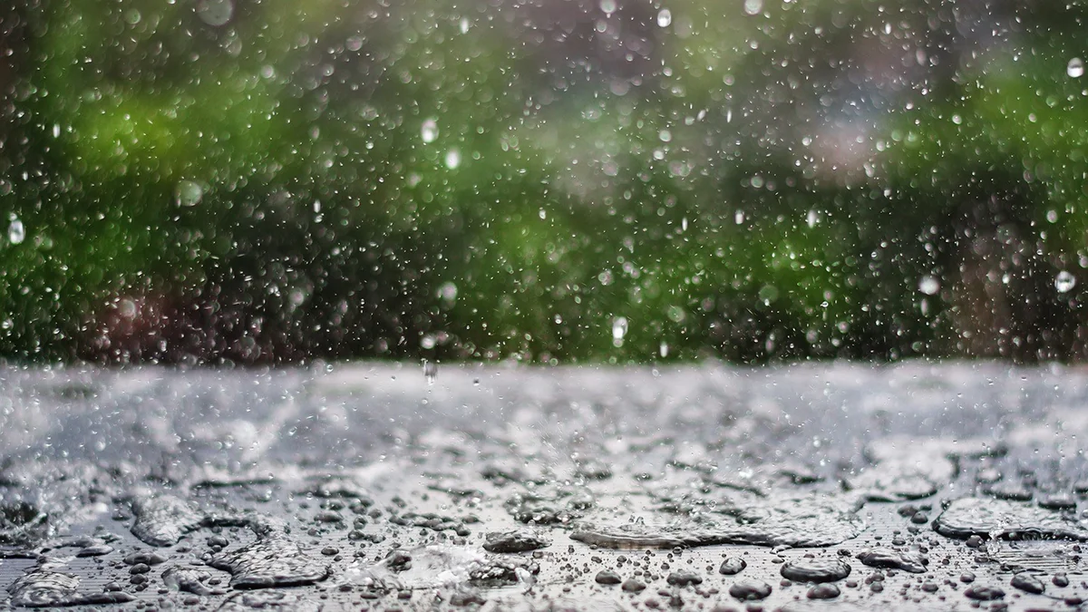 Temperature to drop by 5-7 degrees, rain predicted - WARNING