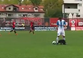 Meydana girən it oyunun dayanmasına səbəb olub